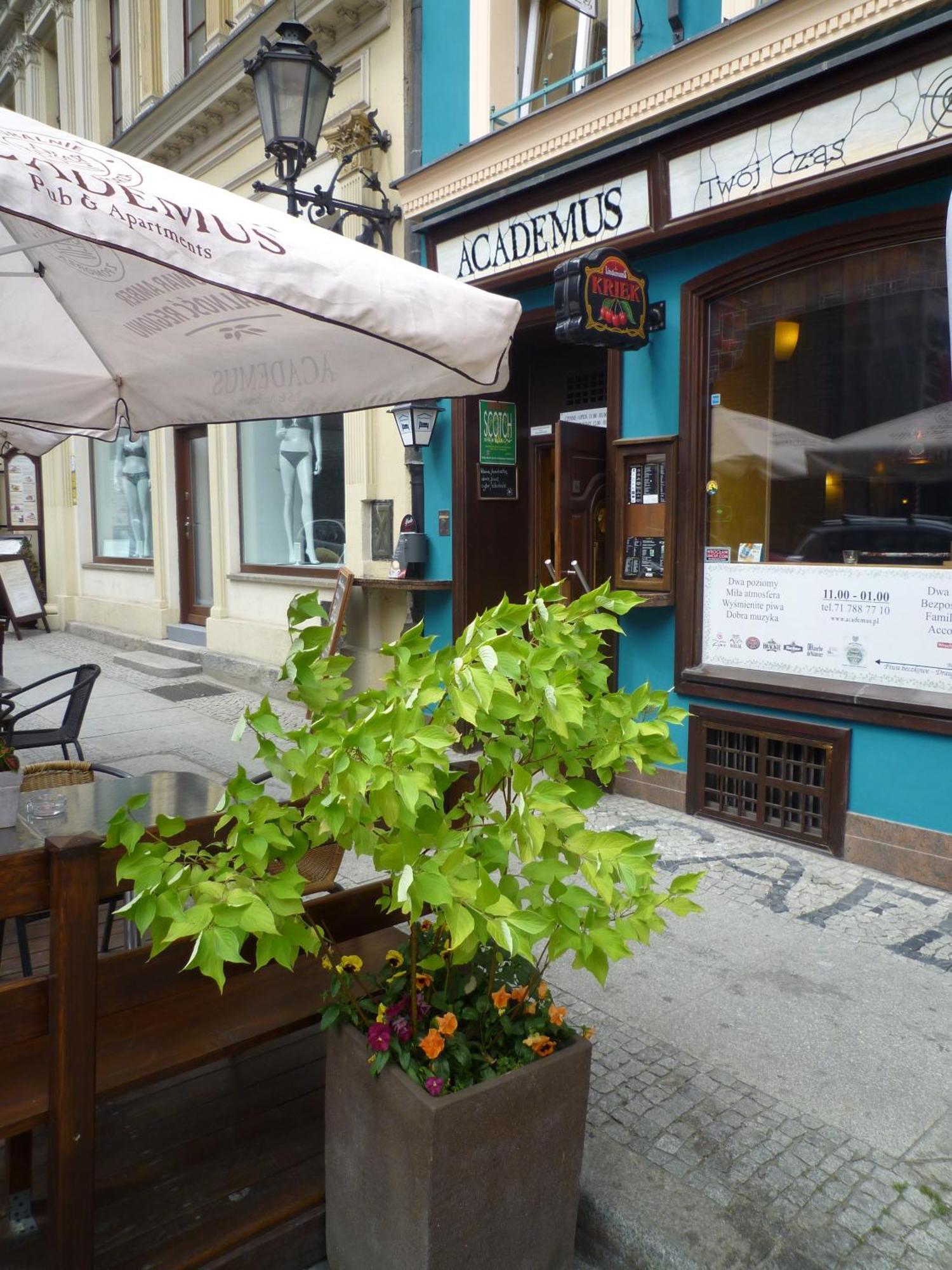 Academus Pub & Guest House Wrocław Extérieur photo